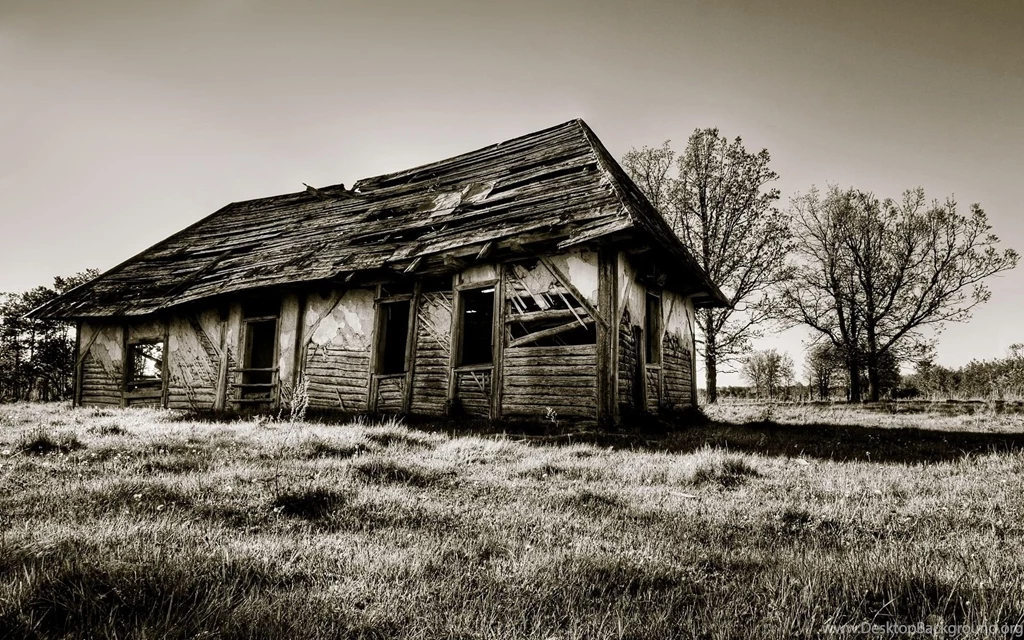 Download Wallpapers 1920x1200 Black White, Barn, Old, Wooden, Grass ...