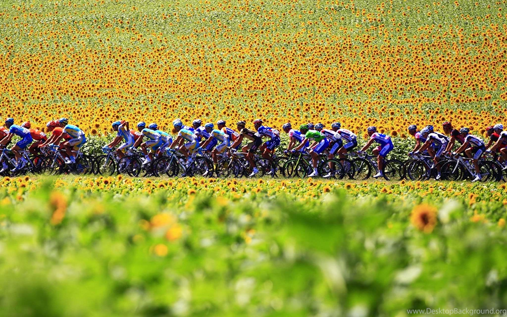 Confessions Of A Tour De France Junkie JACQUELINE YAU