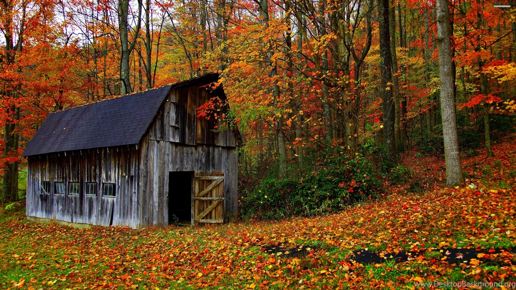 Old Barn In The Colorful Forest Wallpapers