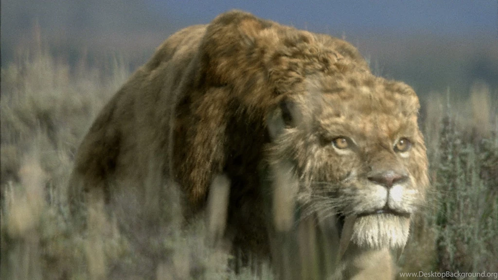 Sabre Tooth Cat: Predator By Design Ice Age Giants Episode 1 ...