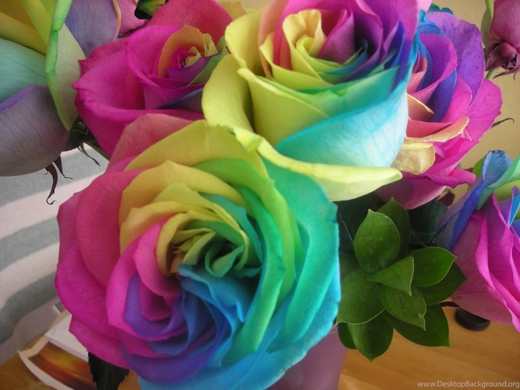 Amazing Rainbow Roses Well Done Stuff