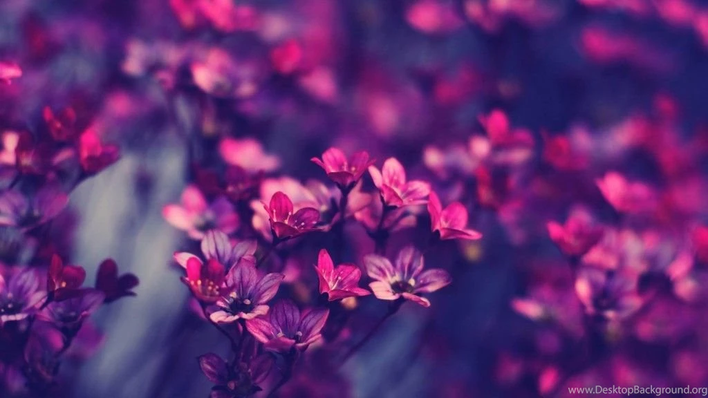 Ipad Wallpapers Tumblr Hd Wallpapers