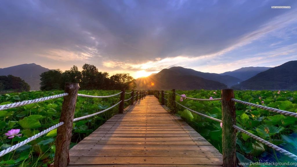Beautiful Sunrise On The Bridge Wallpapers