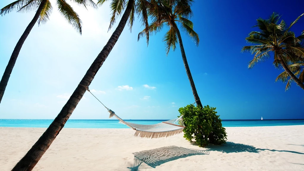 Tropical Summer Vacation HD Wallpapers