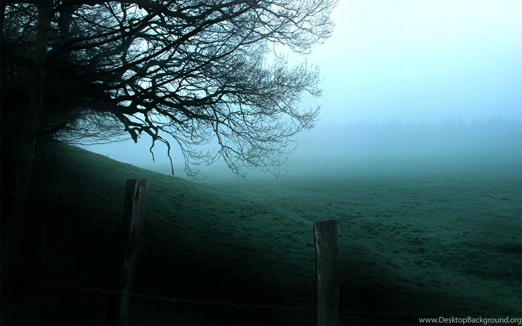 Theme Bin» Blog Archive » Foggy Forest HD Wallpapers