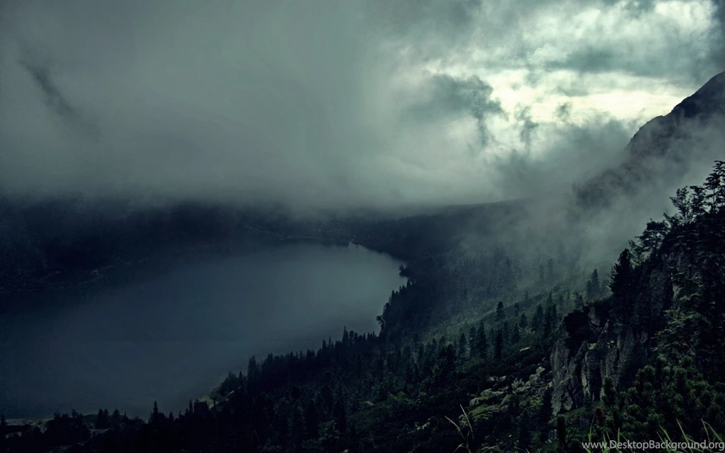 Dark Foggy Forest And Lake Desktop Wallpapers