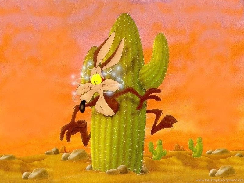 Wile E Coyote ... BEEP BEEP WileE Quixote Wallpapers (7263305 ...