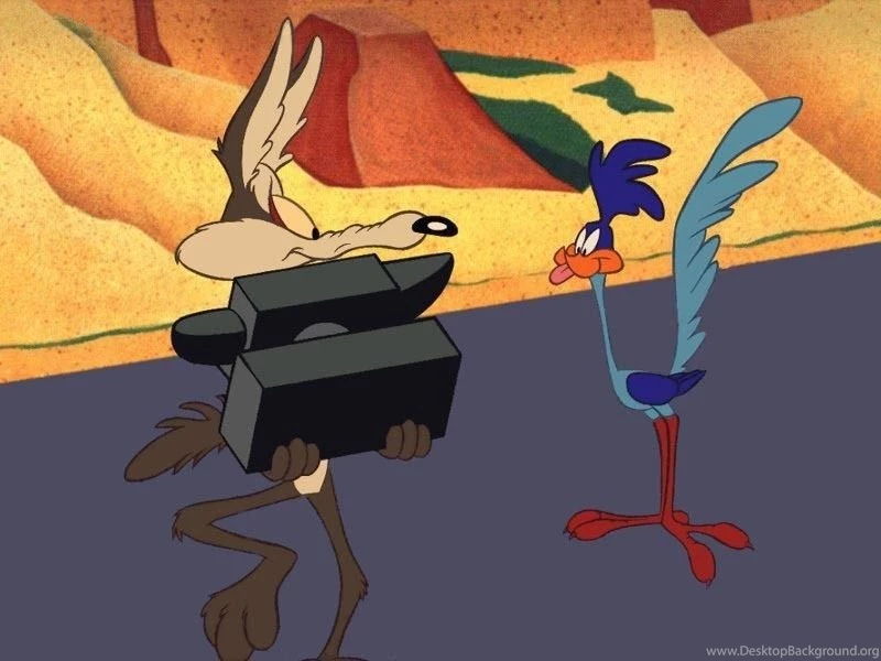 Wile E Coyote ... BEEP BEEP WileE Quixote Wallpapers (7263283 ...