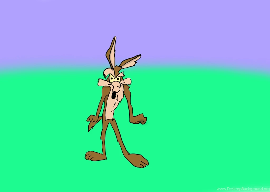 WILE E COYOTE ROAD RUNNER Looney Fw Wallpapers