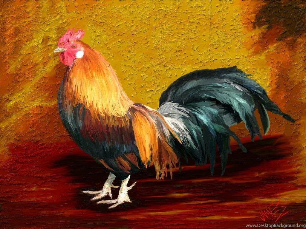 Little Red Rooster By Artdigitalpaintings On DeviantArt