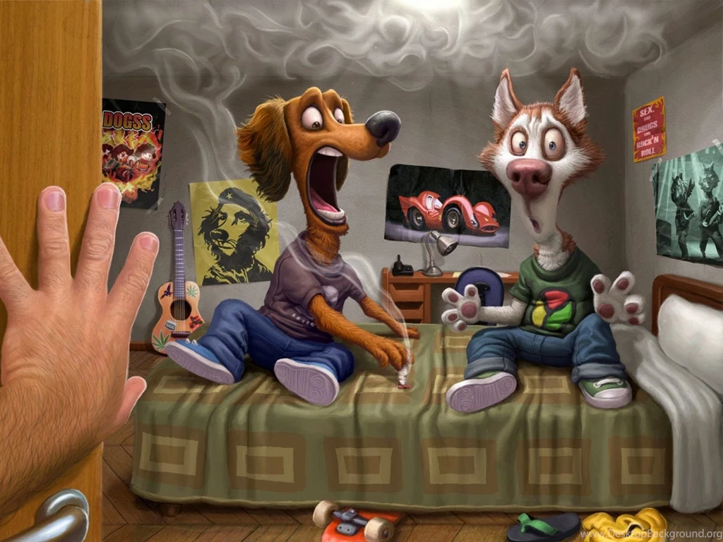 HD Wallpapers Desktop: Funny 2 HD Wallpapers