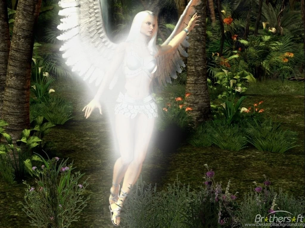 Wallpaper: Wallpapers Angels Free