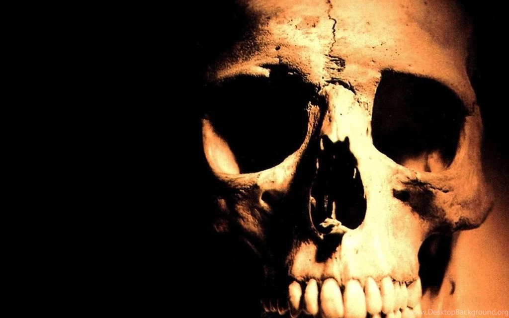Skull Human Abstract HD Wallpapers Wallpapers (