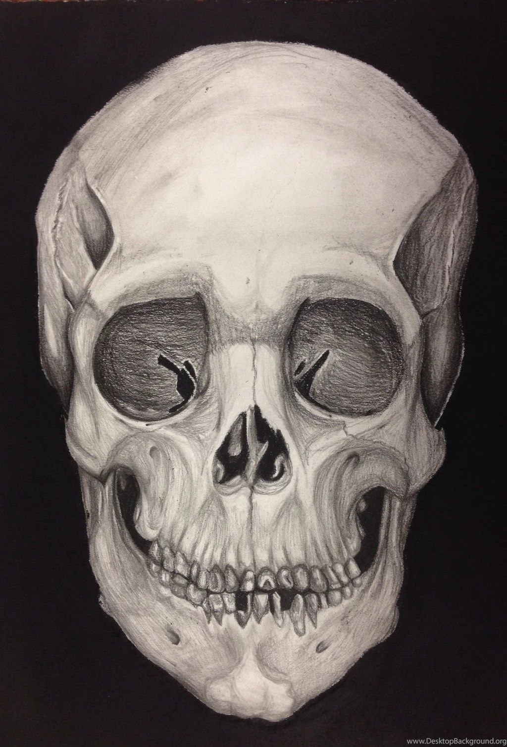 Charcoal Human Skull By Pained Memory On DeviantArt
