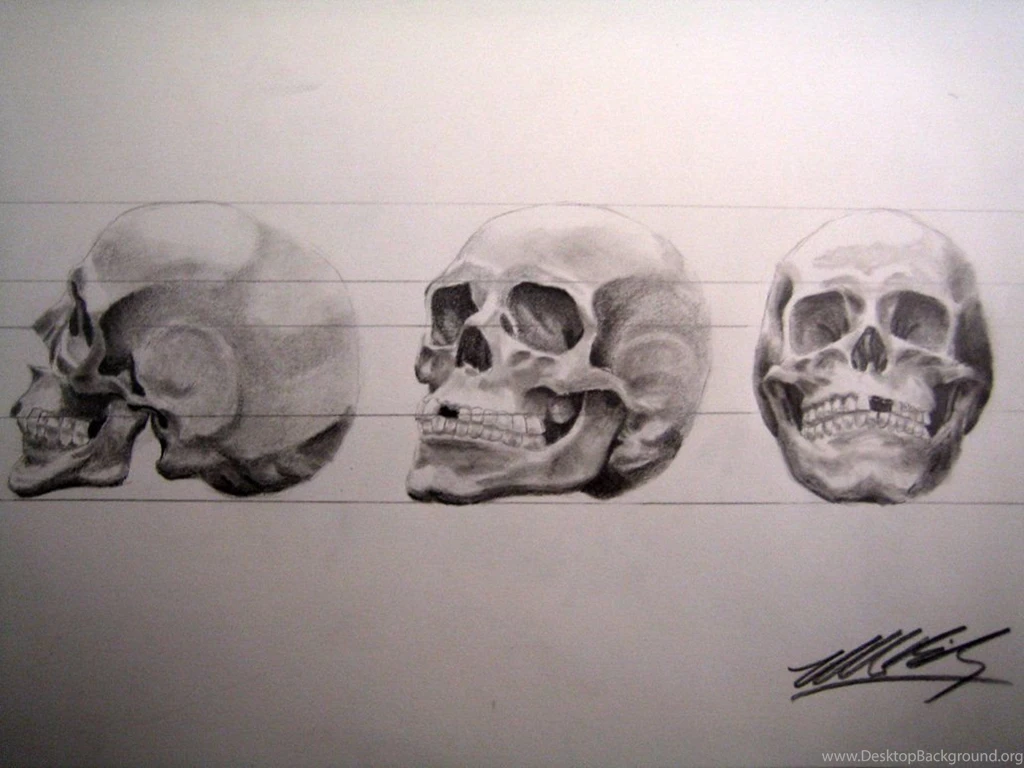 Human Skull In 3 Point Turn By MikeBailey1979 On DeviantArt