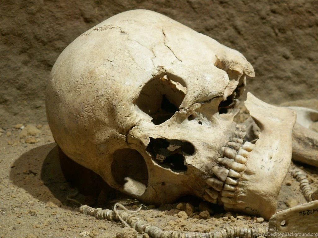 Trololo Blogg: Skull Wallpapers Download