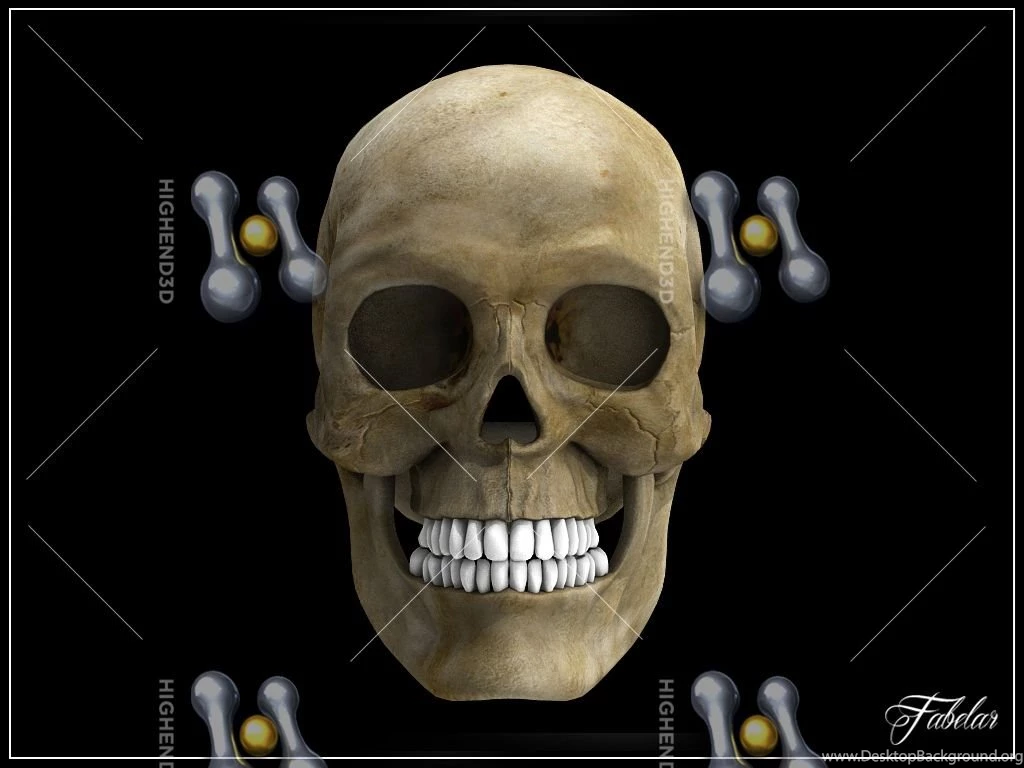 Human Skull Vray 3D Model