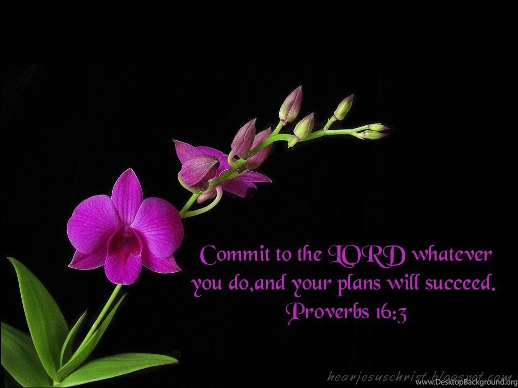 Download Christian Bible Verse Proverbs Wallpapers 1024x768