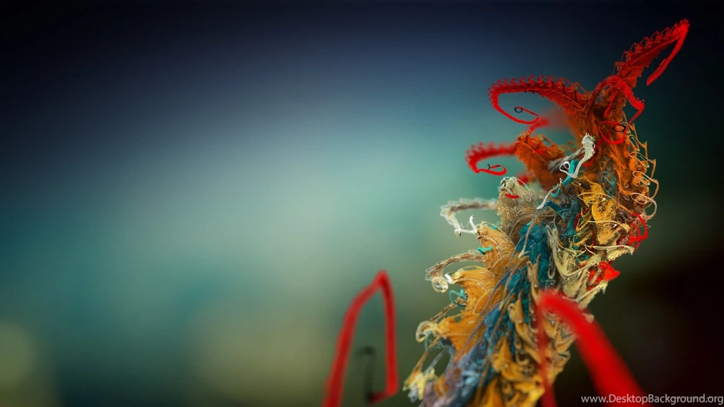 Micro Photography Widescreen Wallpapers