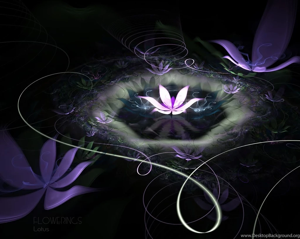 Abstract Lotus Flower Wallpapers HD Wallpapers 1283