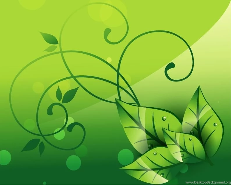 Elegant Nature Backgrounds Vector Graphic