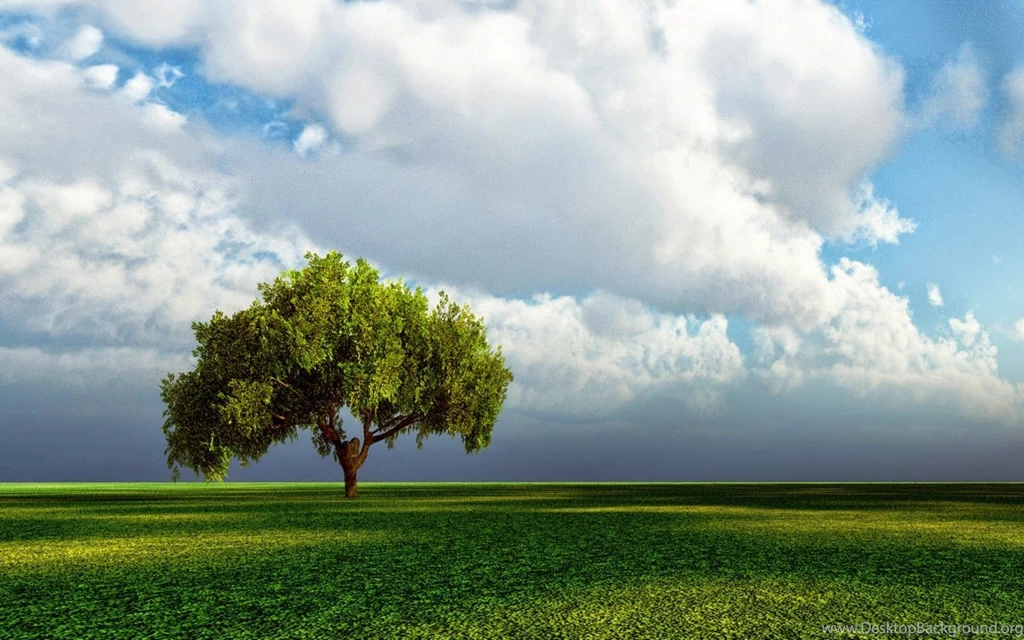Wallpapers: Lonely Tree Wallpapers