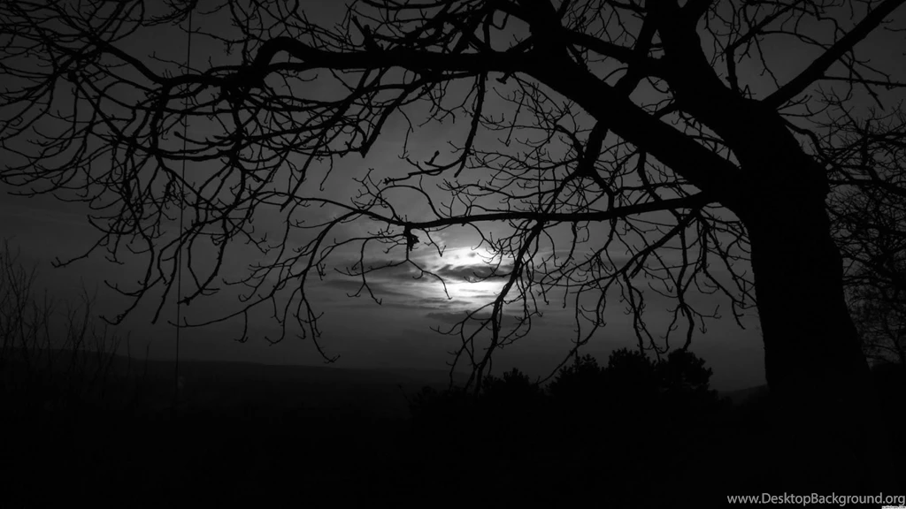 27 Dim Dark Moon Tree 1510 :: Dark Moon Hd Wallpapers