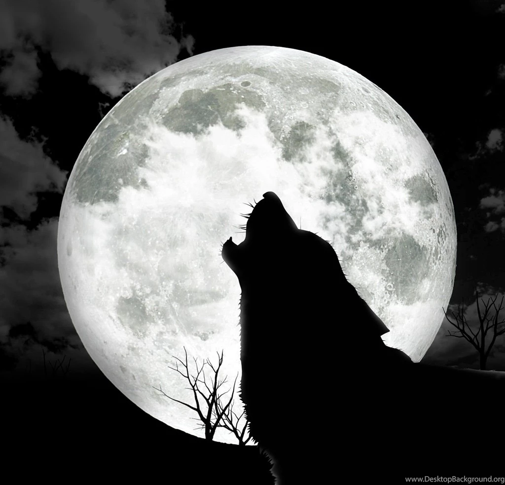 Dogs: Wolf Dark Moon Night Free Download Wallpapers For HD 16:9 ...