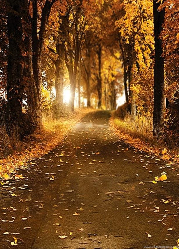 Popular Backgrounds Fall Buy Cheap Backgrounds Fall Lots From China ...