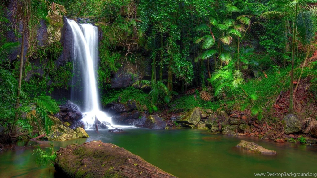 Awesome Rainforest Waterfall Scenery HD Free Desktop Pics
