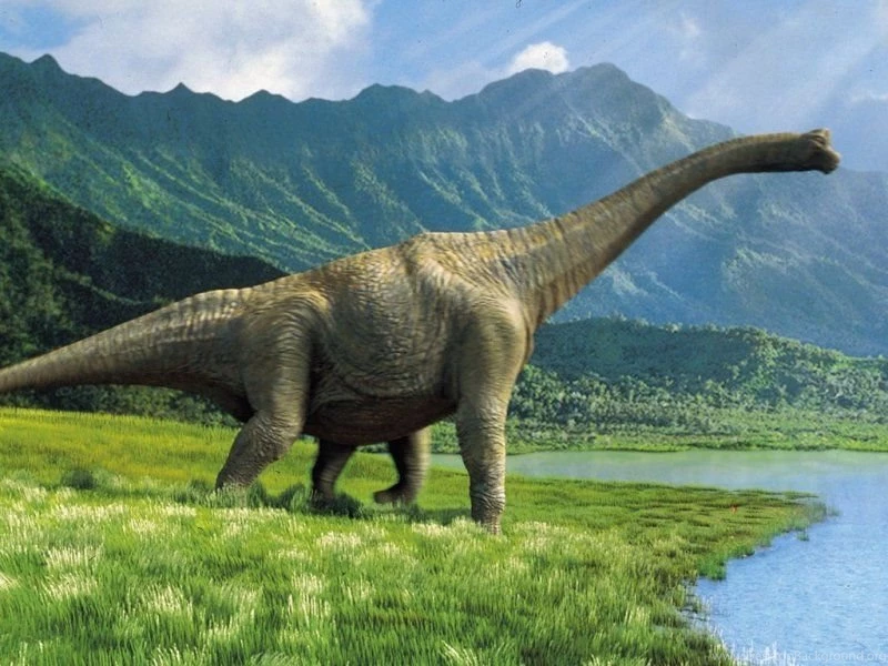 Download Dinosaur Any Wallpapers 800x600