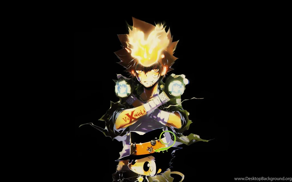 Katekyo Hitman Reborn Wallpapers   (