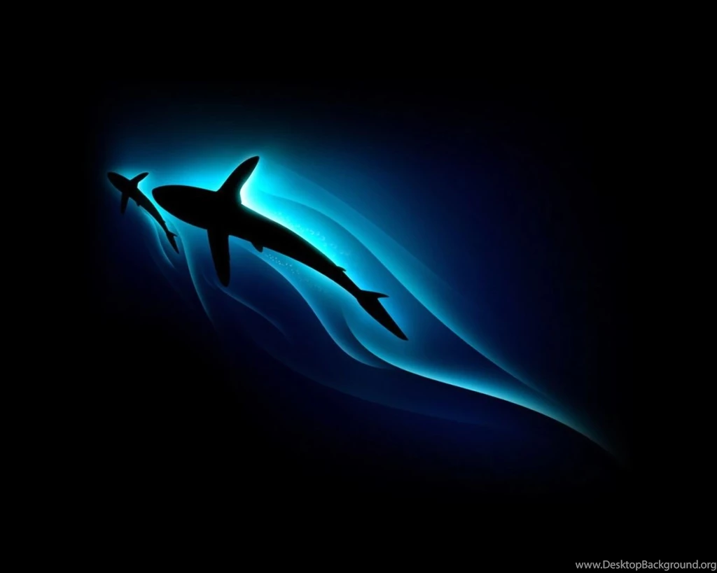 1280x1024 Shark Silhouette Desktop PC And Mac Wallpapers