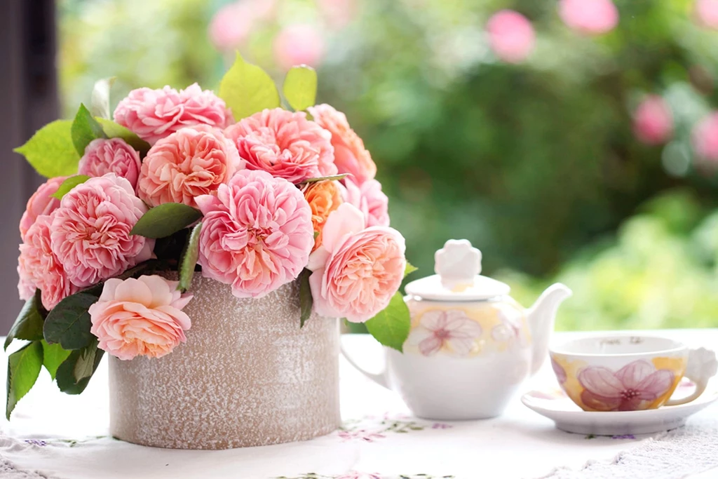 Table In Afternoon With Pink Rose On Bokeh Green Backgrounds