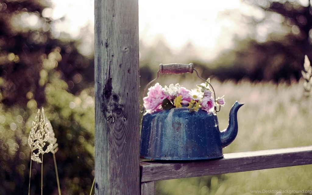Flowers On Teapot Wallpapers For Backgrounds