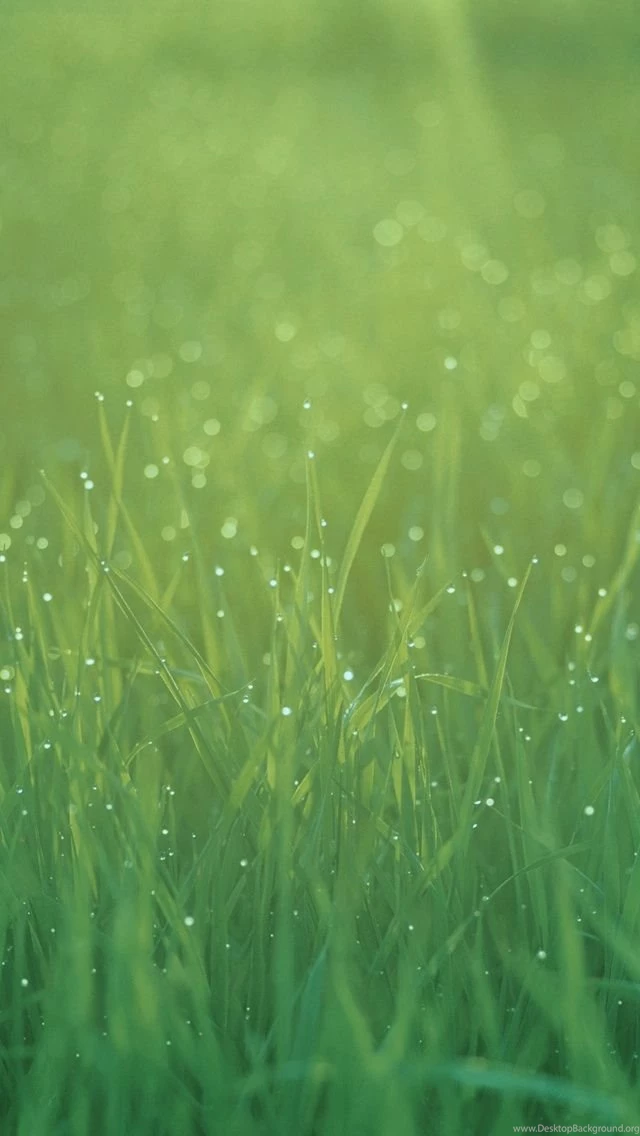 iPhone iPhone 4/4S Stock (retina) Wallpapers?