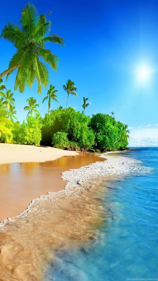 Tropical Island