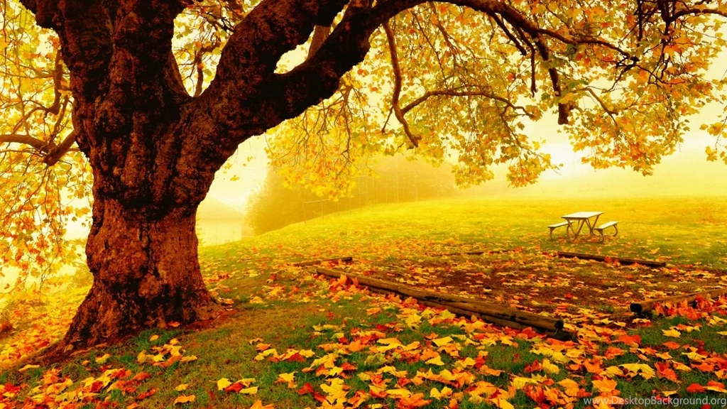 Pretty Autumn Day Wallpapers, Hintergründe