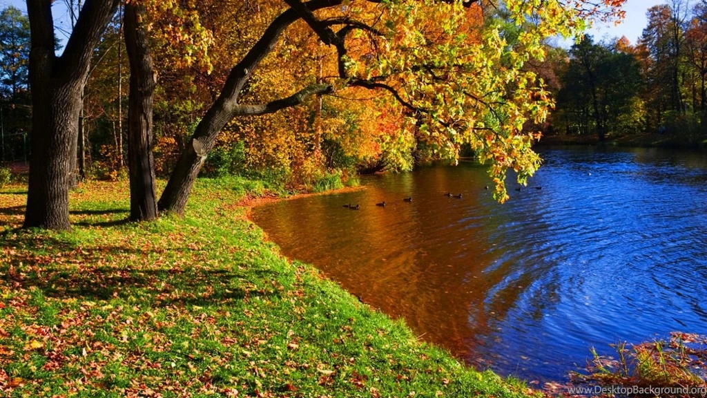 A Pretty Autumn Day Computer Wallpapers, Desktop Backgrounds ...