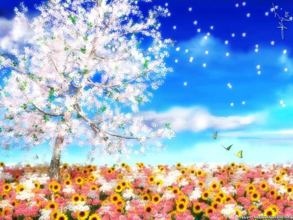 Beautiful Pictures Of Spring Wallpapers HD Wide