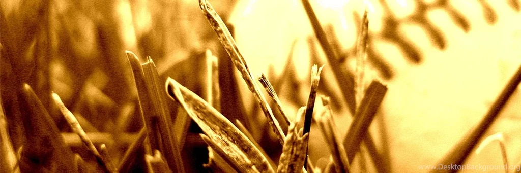 Baseball Twitter Cover & Twitter Backgrounds