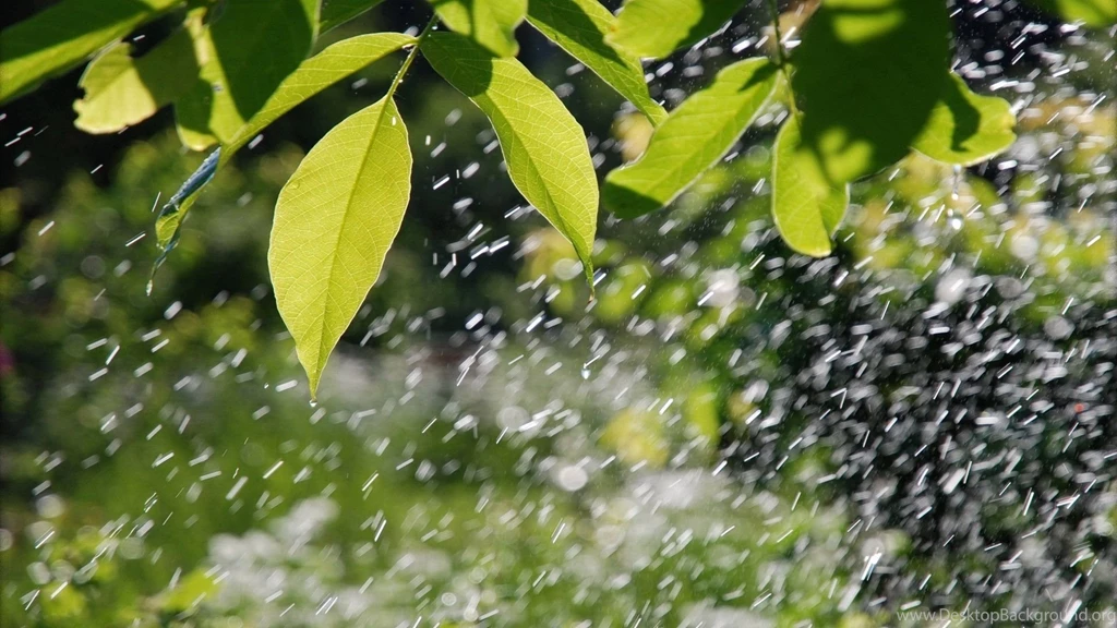 Beautiful Monsoon Nature Image