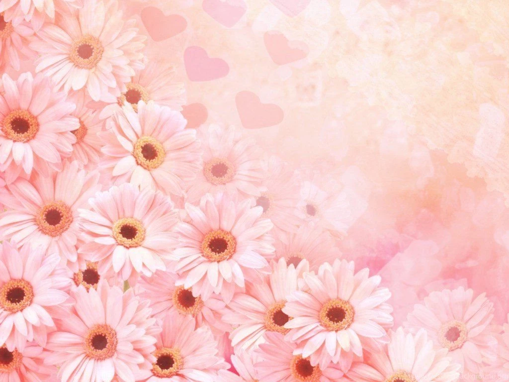 1920x1200px Pink Flowers Backgrounds