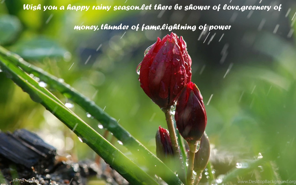 Monsoon Page 1 HD Wallpapers