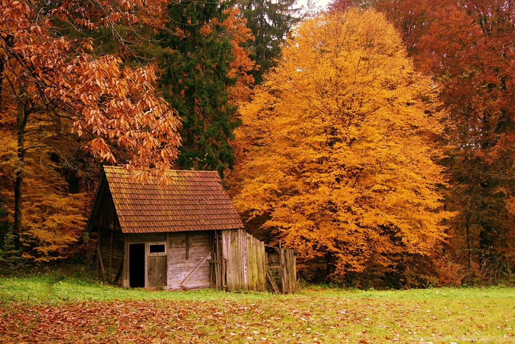 Gallery For Autumn Scene Desktop Wallpapers