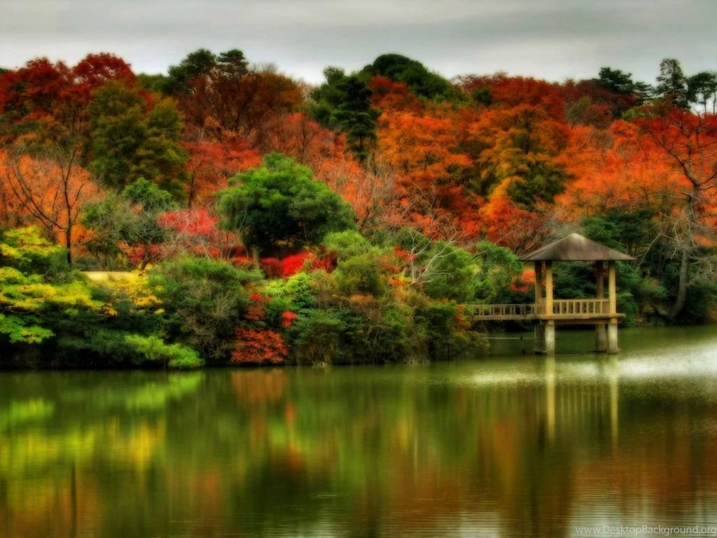 Beautiful Fall Scene (id: 96870) – BUZZERG
