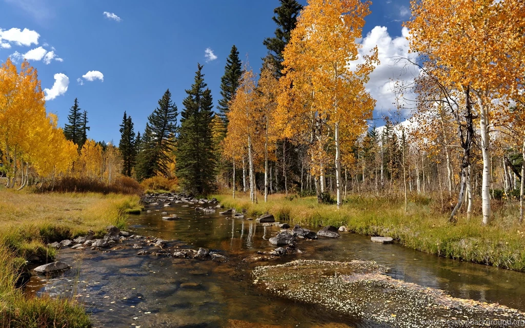 Autumn Scene Desktop Wallpapers