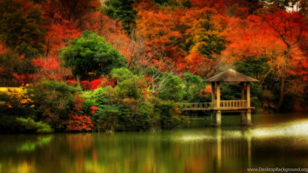 Fall Scene Wallpapers Wallpapers Cave