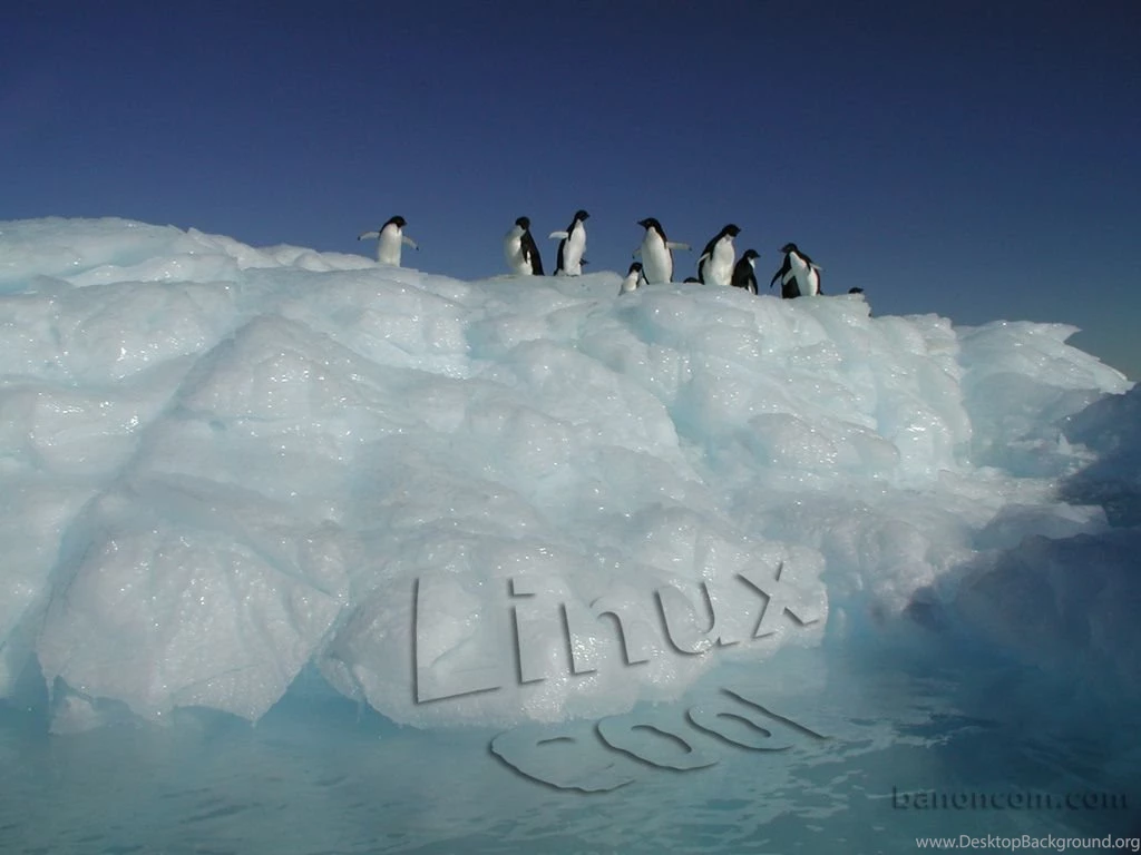 Free Linux Penguin Wallpapers