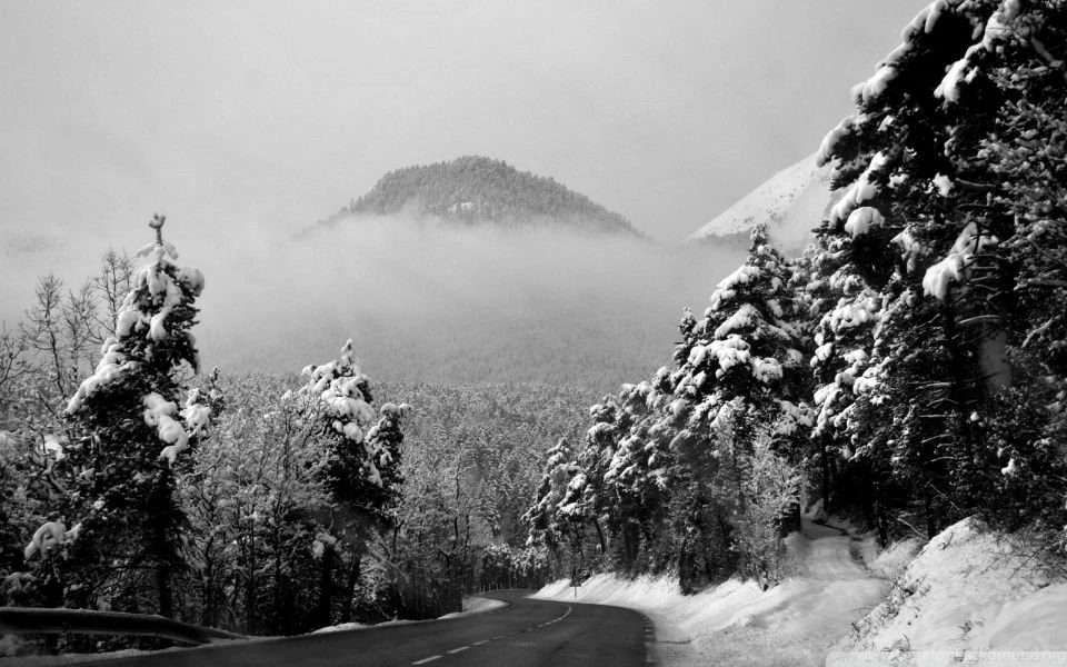 Winter Road Black And White HD Desktop Wallpapers : High Definition ...